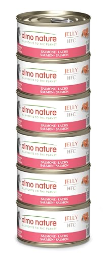 Almo Nature HFC Jelly - Nassfutter für ausgewachsene Katzen - Lachs - Human Grade Glutenfrei Monoprotein - 6 x 70g