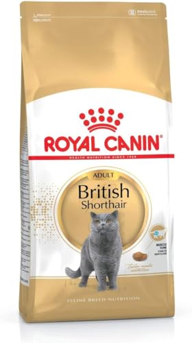 Royal Canin British Shorthair Adult Trockenfutter 400 g