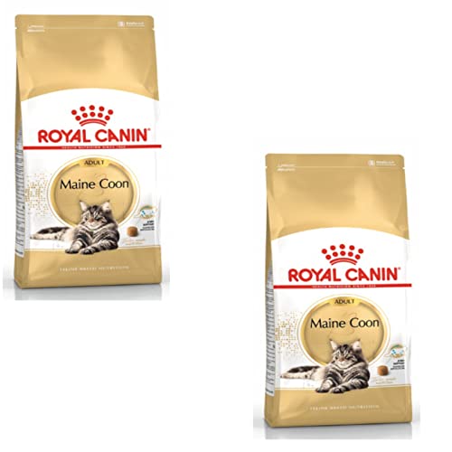 Royal Canin Maine Coon Adult Doppelpack 2 x 400 g Trockenfutter für Katzen Angepasst auf den Bedarf von Maine Coon Katzen Zur Unterstützung der Gelenke und Knochen