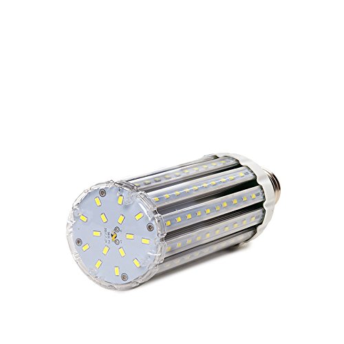 Greenice Glühbirne LED E40 40W 5.200Lm 6000 K Straßenbeleuchtung 50.000H LT-CL6-40W-CW