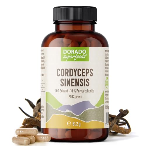 Cordyceps sinensis Kapseln 1.640 mg Extrakt täglich 10 1 entspricht 16.400 mg Rohpilz 120 Stück 1-Monatsvorrat 10% Polysaccharide hochkonzentriert Dorado Superfoods