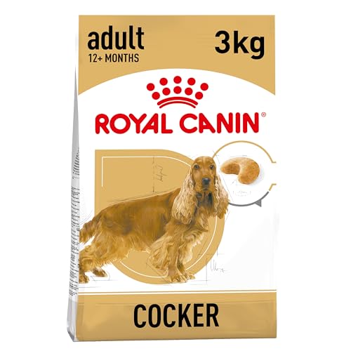 Royal Canin Cocker Adult 3 kg Alleinfuttermittel für ausgewachsene Cocker Spaniels Zur Unterstützung des allgemeinen Wohlbefindens Mit Borretschöl und Omega-3