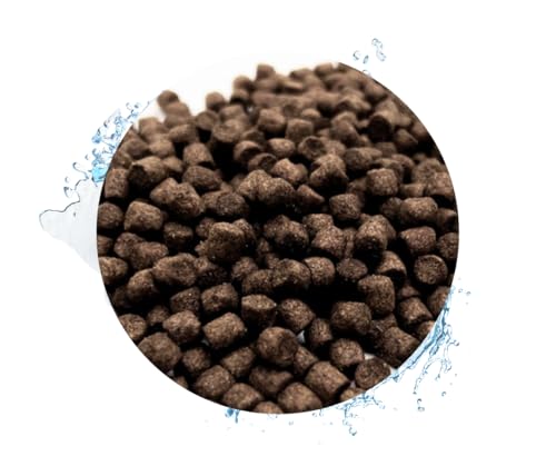 Warnick s Tierfutterservice Fischfutter Koi - Koifutter Wheatgerm 5kg in 6mm Pellets für Frühjahr Herbst Teichfutter schwimmend Teichfischfutter