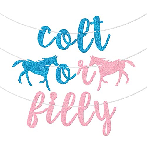 Colt or Filly Banner Gender Reveal Dekorationen Boy or Girl He or She blau oder rosa Baby Shower Party Supplies Pferd Themed Baby Ankündigung Schild vorbespannt