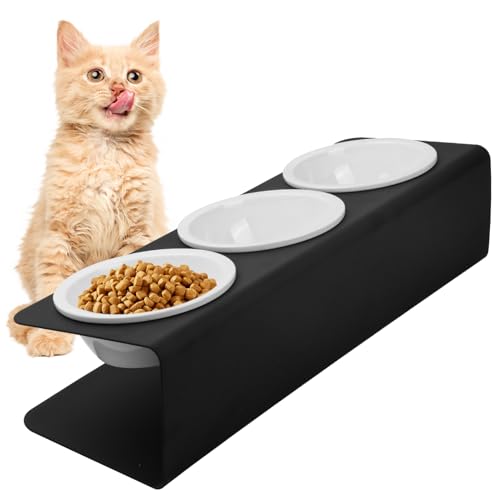 Katzennapf Erhöht mit Metallständer 3PCS Katzennäpfe aus Keramik 15 Gekippte Futterstation Hundenapf Katzen Futternapf Anti Erbrechen Fressnapf und Wassernapf für Katzen Hunde