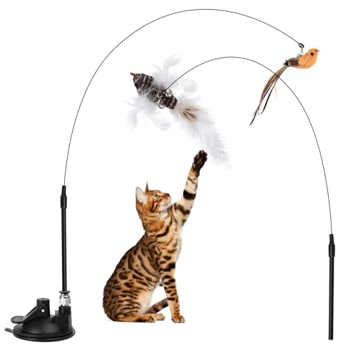 2 Set Selbstbeschäftigung Intelligenz Vogel Federn Katzenangel Stabil Saugnapf Cat Toys Federspielzeug