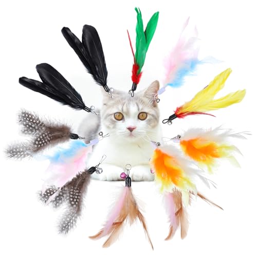 12 Stück Katzenspielzeug Feder Katzen Federspielzeug Ersatzfedern mit Glocke Katzen Angel Spielangel Katzenspielzeug Interaktives Spielzeugzubehör Teaser Spielzeug Zubehör für Indoor Katzens Spiel