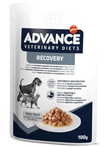  Veterinary Diets Recovery Nassfutter für und Hunde 100 g