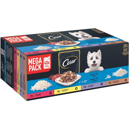 Cesar Selektion in Gelee Premium Hunde Nassfutter für Senior 10 im Portionsbeutel Getreidefrei mit Superfoods in 4 Varietäten Megapack 40x100g