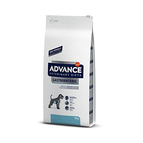  Gastro Enteric 1 er Pack 1x 12