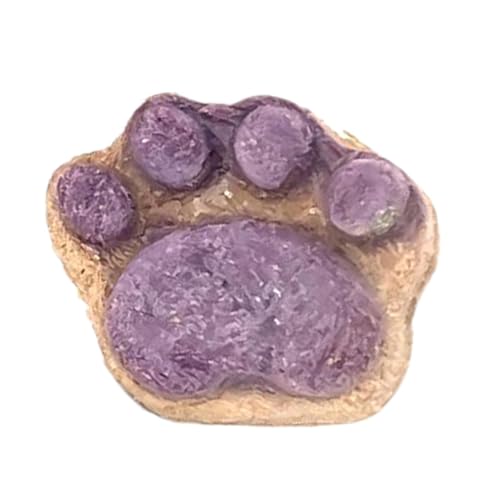Katzen-Leckerlis für Indoor-Katzen Trockene Katzenleckerlis gesunde Katzenleckerlis Katzensnacks Katzenpfotenkekse 18 Monate natürliche trockene Katzenleckerlis Kätzchen-Leckerlis in Pfotenform