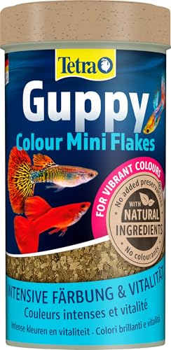  Guppy Colour Mini Flakes   für alle Guppys feines Flockenfutter für kräftige Farben 250