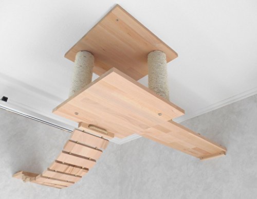 Jennys Tiershop Katzen Wandpark handgefertigte TiermÃ¶bel LuxusmÃ¶bel KatzenmÃ¶bel in vielen AusfÃ¼hrungen Kratzbaum Katzenbaum fÃ¼r die Wand. Hier DeckenabhÃ¤ngung 3 Teilig 15511fff