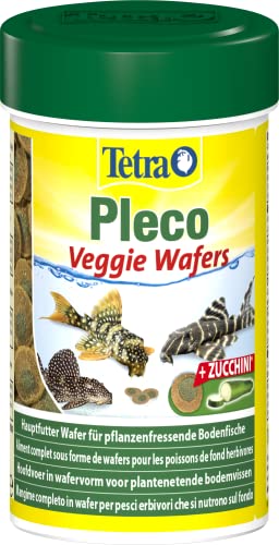  Pleco Veggie Wafers   für pflanzenfressende Bodenfische Alleinfutter mineralreicher Zucchini für verbesserte Vitalität 100