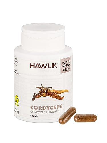 HAWLIK Vitalpilze Cordyceps Pulver Kapseln - 120 Kapseln - 500 mg Vitalpilz Pulver - Vegan - Zuckerrohr-Dose