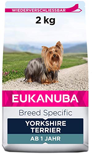 Eukanuba Breed Specific Yorkshire Terrier Trockenfutter - optimal auf die Rasse abgestimmtes Premium Hundefutter mit Huhn 2 kg