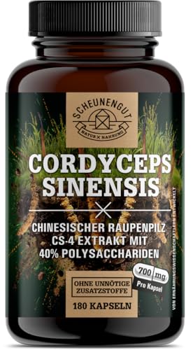 Cordyceps 1400mg  WICHTIG 10 1 Extrakt 14000mg reiner Raupenpilz pro Tagesdosis 40% bioaktive Polysaccharide  Cordyceps Hochdosiert  I Vegan I DE SCHEUNENGUT