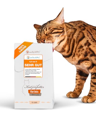 Lucky Kitty Premium Katzensnacks I 1x4 Sticks I Leckerli für 100% im Fleischanteil I Saftig nährstoffreich ohne Getreide Zucker I Artgerechte Katzensticks 4x 22g Lachs