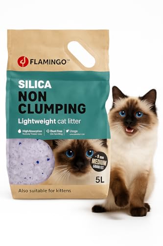 Flamingo Silica Katzenstreu - Mittlere Körnung 5L für 6 Wochen Staubfrei und Geruchsbindend Ideal für Maine Coon Britisch Kurzhaar Ragdoll Norwegische Waldkatze usw.