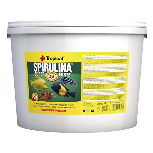Tropical Super Spirulina Forte Flockenfutter mit 36% Spirulina Platensis Anteil 1er Pack 1 x 11 l