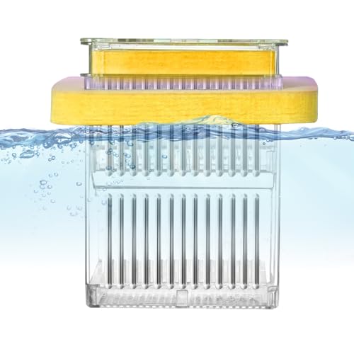 Aquarium Fish Breeder Box - Mutterfisch -Inkubator Fischtankteiler Inkubator -Pflegekoffer schwebende Guppy -Zuchtbox Fischtankteiler Akklimatikmutter Mutter Wasserleben Inkubator für