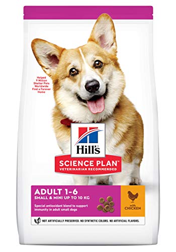  s Small and Miniature Adult Hundefutter 3kg 1x 3