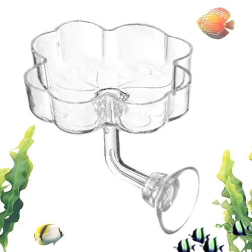 Fischfutterautomat - Blumenförmige Fütterungsschale Mit Saugnapf Für Aquarium - Fischbecken Futterplatz - Für Schildkröten Betta Zuhause Und Büro Salzwasser Und