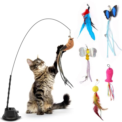 Sprießen 6 Stück Katzenspielzeug Selbstbeschäftigung Katzenspielzeug Angel Mit Federn Vogel Saugnapf Interaktives Katzenspielzeug Angel Mit Feder Katzenspielzeug Set Für Kätzchen Und Katzen