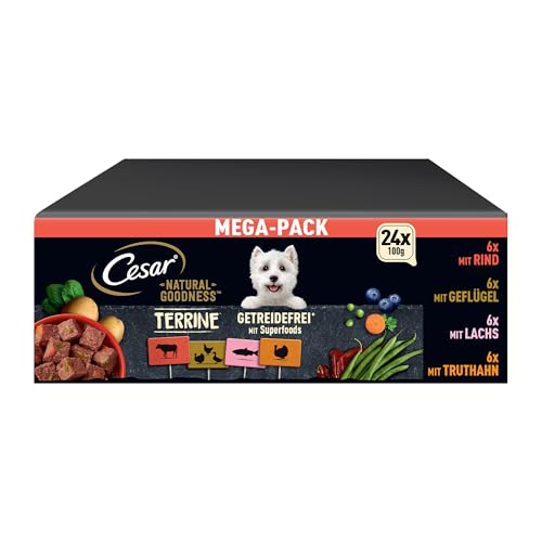  Natural Goodness Premium Hunde Nassfutter der Schale Getreidefrei mit Superfoods 4 Varietäten Megapack 24x100g