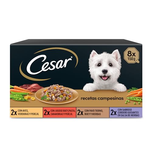  8 Rezepte für die Kampagne Mini Filets Sauce für 150 g