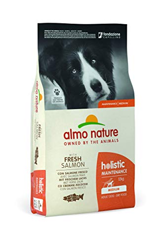  Holistic Erwachsener Hund Medium frischem Lachs 12 kg