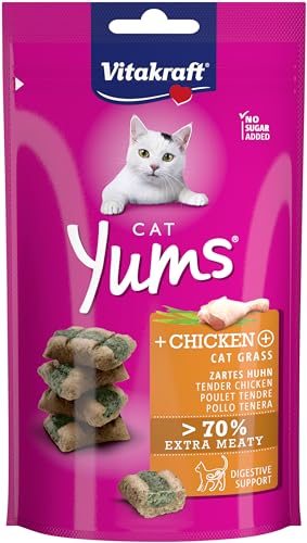 Vitakraft - YUMS Katze saftiger Snack für Katzen mit Huhn und Katzengras - 40 g