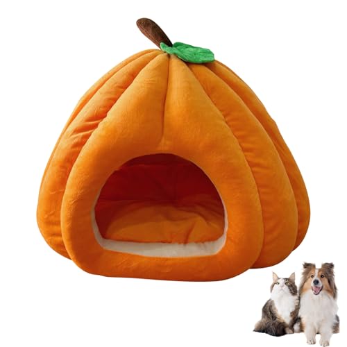 Katze Bett für Innenräume Katzenhöhle Waschbar Kürbis Katzenhaus mit Abnehmbarem Kissen Flauschiges Katzenbett Kuschelbett Katzen Katzen kuschelbett Warmes Katzenbett für Katze Klein Hund L