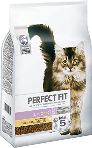 Perfect Fit Junior 1 Trockenfutter für junge Katzen unter 1 Jahr Huhn Unterstützt die Vitalität 7 kg