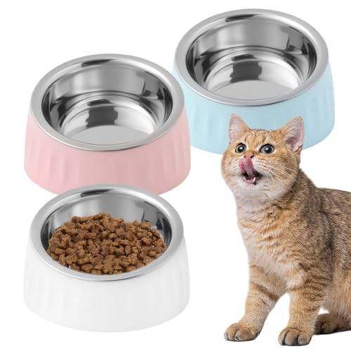 3 Stück 15 Geneigter Erhöhter Katzen Futternapf Set Schräg Futternapf Katze Edelstahl Set Edelstähle Katzen Futterschale Trinknapf Abnehmbarer Katzennäpfe Für Haustiere Katzen Und Welpen Weiß