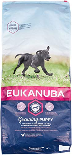 Eukanuba Welpenhundefutter für große Hunde reich an frischem Hühn 12 kg
