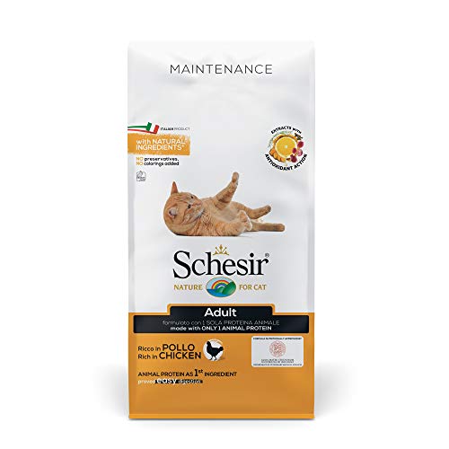 Schesir Cat Adult Maintenance Huhn Katzenfutter trocken für erwachsene Katzen Beutel 10 kg