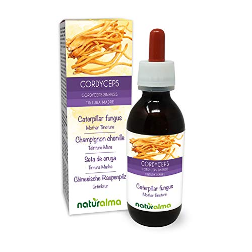 Cordyceps oder Chinesische Raupenpilz Cordyceps sinensis oder Ophiocordyceps sinensis Pilz Alkoholfreier Urtinktur Naturalma Flüssig-Extrakt Tropfen 120 ml Nahrungsergänzungsmittel Veganer