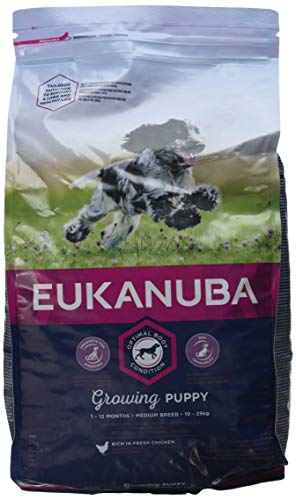 Eukanuba Trockenfutter für Welpen mittelgroß 3 kg 3 Stück