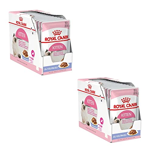 Royal Canin Kitten Doppelpack 2 x 12 x 85 g Nassfutter für Katzenwelpen Mit feinen Stückchen in Gelee Geeignet in der zweiten Wachstumsphase bis zum 12. Lebensmonat
