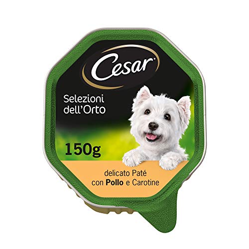 Cesar Auswahl des Gemüsegartens Hundefutter mit Huhn Karotten und Kräutern der Provence 14 x 150 g
