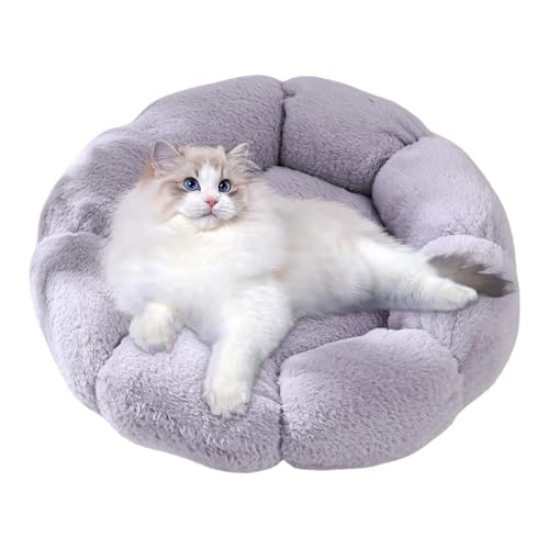 Pzuryhg Weiches Bett für Katzen im Innenraum Katzenbetten mit erhöhten Seiten Schaumstoff-Katzenbett für Indoor-Katzen Katzenbett für ältere Indoor-Katzen Katzenbetten für Katzen mit Allergien