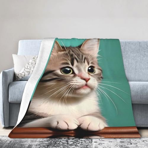 HYTTER Eine neugierige Katze 101 6 x 76 2 cm superweiche Flanelldecke pflegeleicht und langlebig geeignet für Bett Sofa Camping Reisen