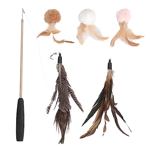 Milisten 6stücke Katzenspielzeug Federwedel Für Katzen Katzenkitzeln Katzenzubehör Interaktives Spielzeug Für Kätzchen Haustier Spielzeug Mit Federwedel Für Katzen Katzenzubehör Für Mit Nat