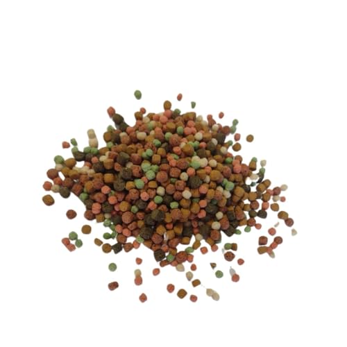 Premium Koi-Goldfisch-Multimix Sommerfutter Sahawa für Gartenteichfische Inklusive Futterschaufel und getrockneten Mehlwürmern Fischfutter für Teichfische Koifutter 10 l Kombipack
