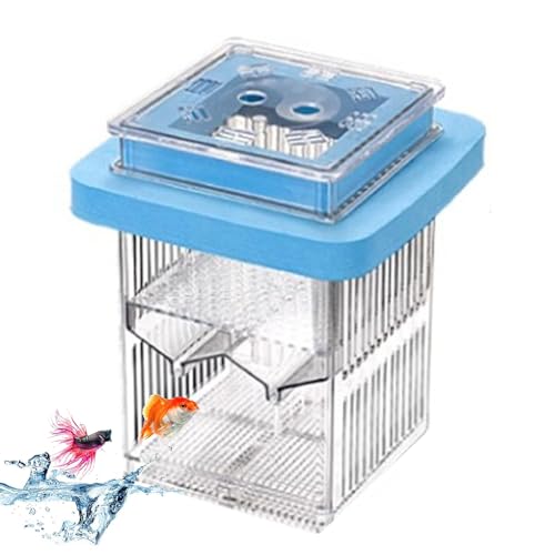 Guppy Breeders Box - Clear Guppy Fish Tank Breeder Fall Schwimmende klare Schlupfbox Fischzuchtisolation Behälter Wasserlebensfutter in Inkubatortankteiler Ruhehäuse für Clownfische