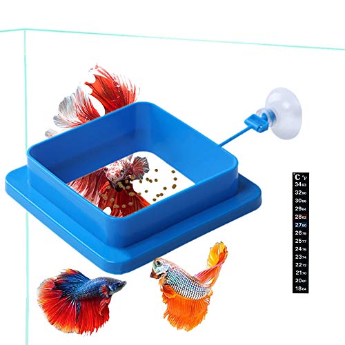 Fisch Futterring schwimmender Futterspender für dicke Quadrate reduziert Abfall hält die Wasserqualität für schwimmendes für Guppy Betta Goldfisch usw