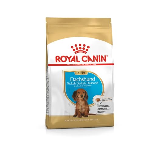 ROYAL CANIN Dachshund Puppy 1 5 kg Trockennahrung für Dackel-Welpen bis 10 Monate Zur Unterstützung von Immunsystem Verdauung Knochenentwicklung Kalziumfängerkroketten