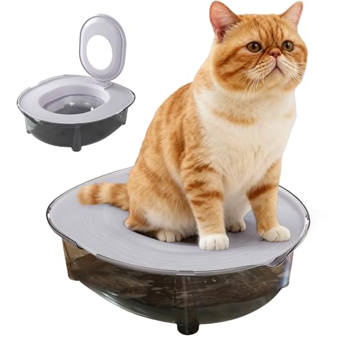 Katzentoilette Geruchskontrolle Spritzschutz abnehmbar Tablett mit offenem Deckel für Außen Innenbereich Haus Wohnung für kleine und mittelgroße Haustiere