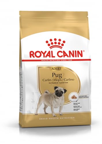 Royal Canin Pug 3 kg Trockenfutter für ausgewachsene Möpse Zur Unterstützung des Fells und der Verdauung Für Hunde ab dem 10. Lebensmonat